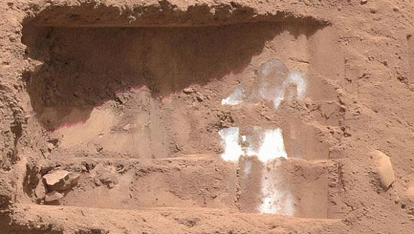 Марсианский лед мог сохранить жизнь микробам, доказали в эксперименте