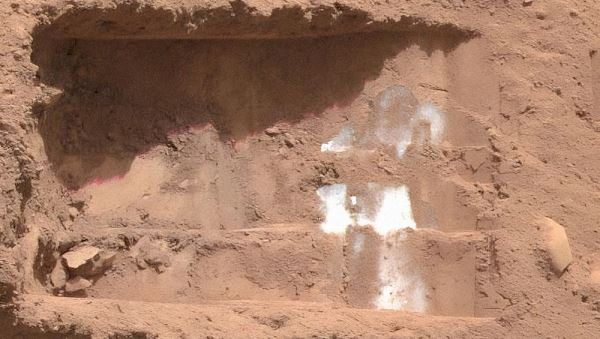 Марсианский лед мог сохранить жизнь микробам, доказали в эксперименте