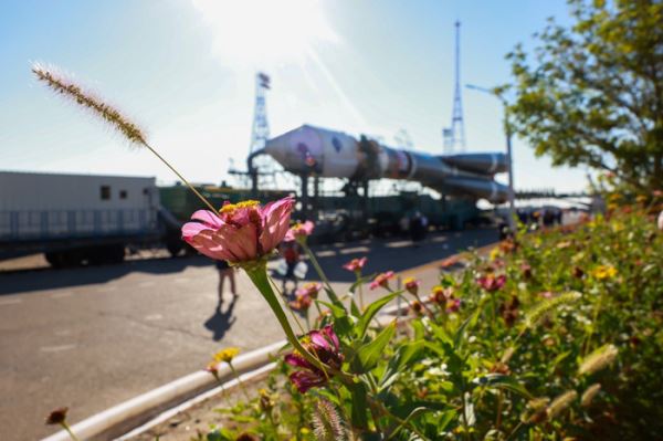 Детальный обзор новой необычной «космической лаборатории» России — «Бион-М» № 2. Её конструкция, орбита, цели, видео запуска.