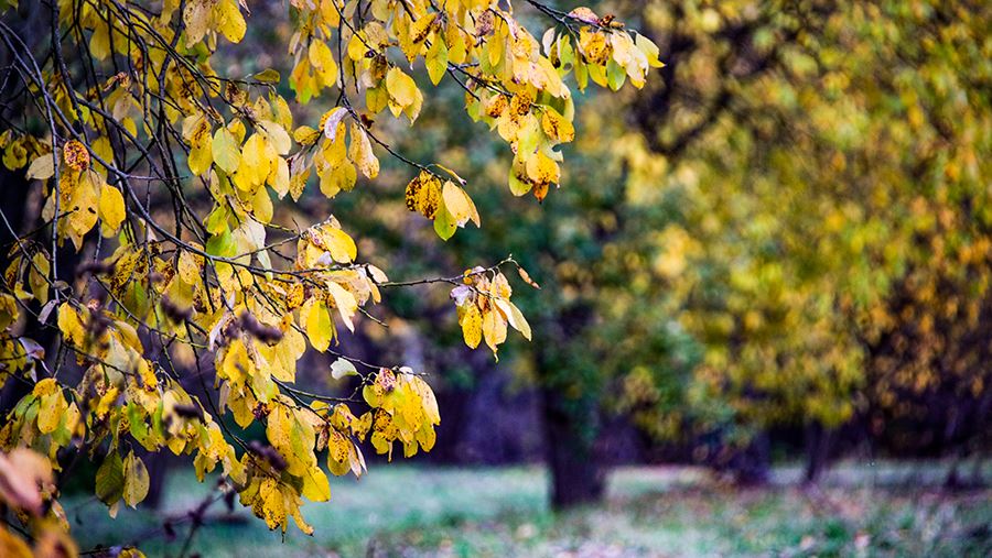День осеннего равноденствия: красивые открытки, прикольные картинки