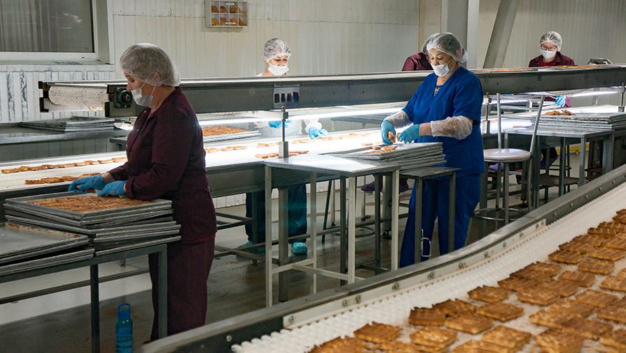 Эксперты оценили кадровый дефицит в пищевой промышленности в 2,5 млн человек