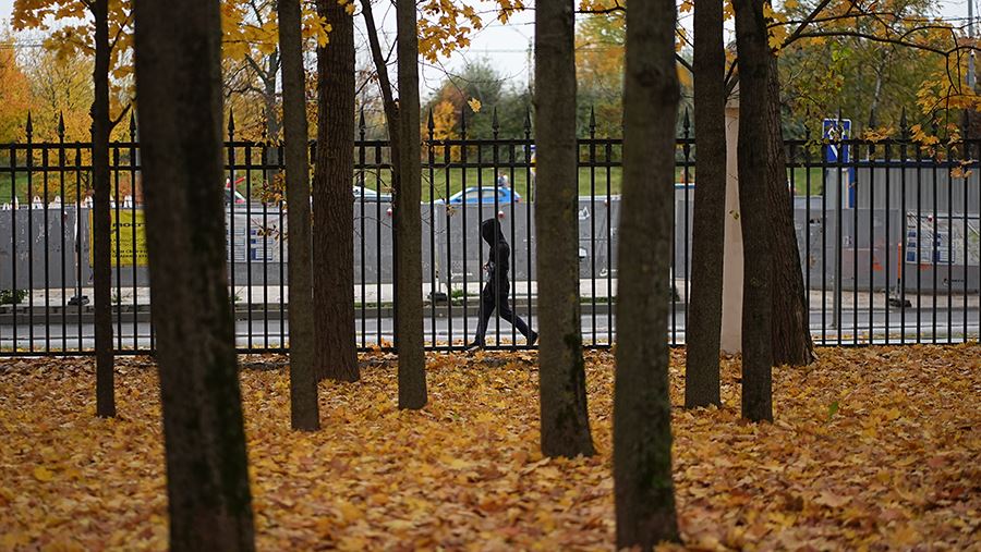 Синоптики спрогнозировали облачность и до +8 градусов в Москве 28 октября
