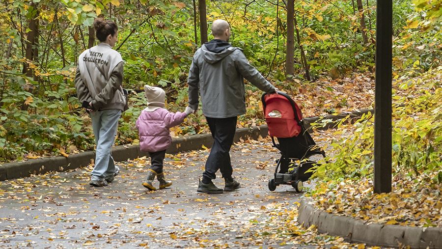 В ГД подготовили новые меры по поддержке семей с детьми