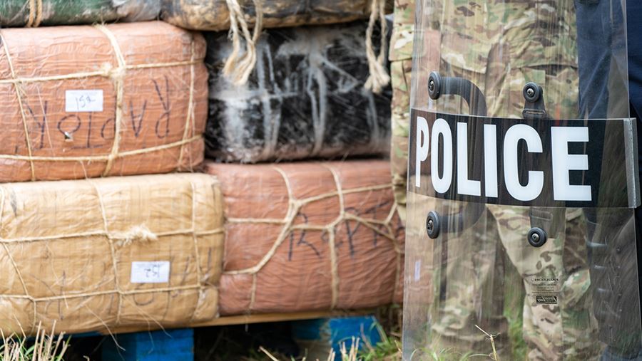 NBC News узнал о разработке в США новой миссии против наркокартелей в Мексике