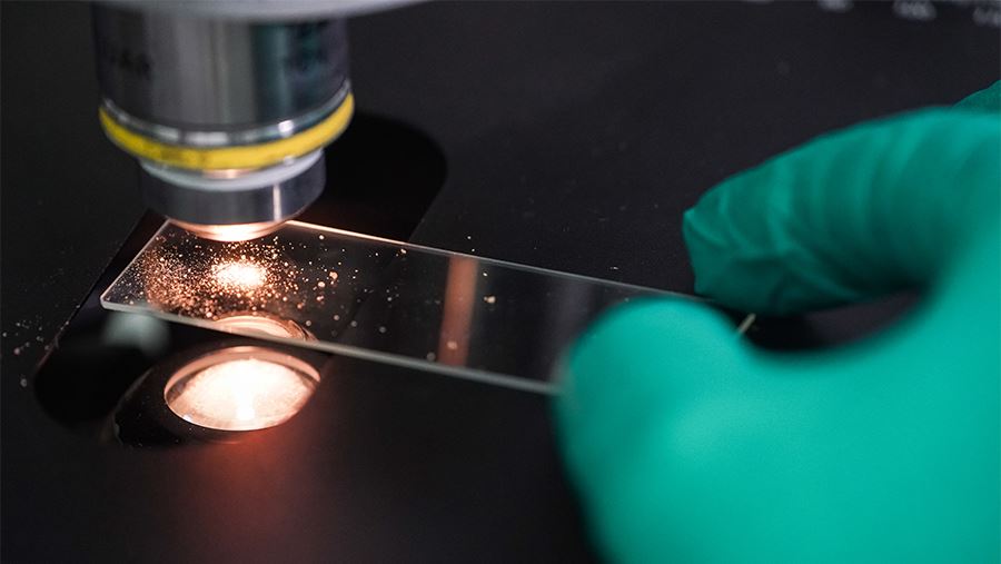 Новые данные о фазовом переходе позволят создать материалы для космоса и робототехники